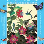 今森光彦　自然と暮らす切り紙の世界